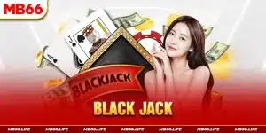 Blackjack Mb66