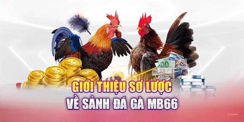 Đôi nét sơ lược về đá gà MB66